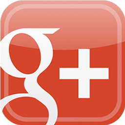 Google+ Icon