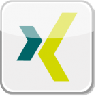 Xing Icon